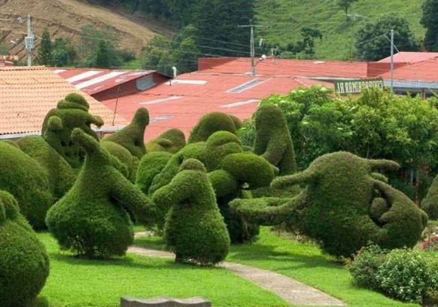 25個(gè)&ldquo;植物造型&rdquo;花園景觀設(shè)計(jì),網(wǎng)友直呼:植物的藝術(shù)!