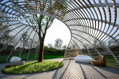 奔赴在熱愛之中 賽肯思2020精品項(xiàng)目合集